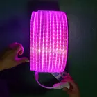 SMD 5050 RGB IP68 Waterproof 220V led flexible strip light