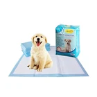 Custom Comfortable Water Absorption Non Woven Disposable Puppy Dog Training Pet Pads