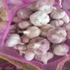 /product-detail/new-china-crop-pure-normal-white-fresh-garlic-price-62043377447.html