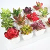 Mini simulation succulent bonsai artificial flower creative ornamental plant with pots