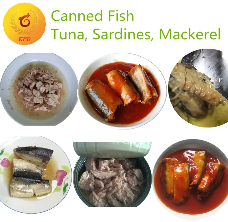 canned fish catalogue
