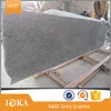 /product-detail/cheap-chinese-g602-rough-grey-granite-half-slab-2cm-60685176713.html