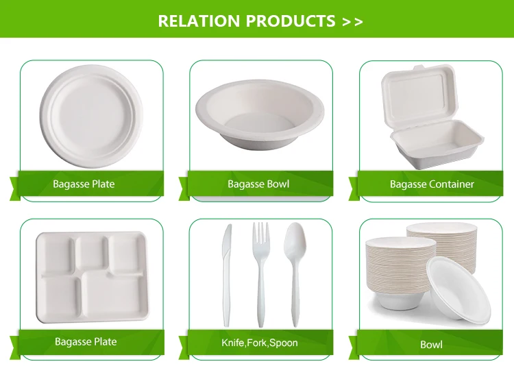 biodegradable lunch boxes