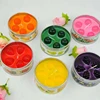 Fruit Series Multi Scented Leading Designed Top Sale Gel Wax Tin Box Candle