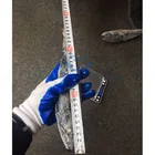 Scomber Japonicus Scomber Scombrus Frozen Mackerel Fish