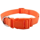 High Quality Nylon Pet Dog Training Collar