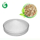 Pumpkin Seed Extract 25% Fatty Acid Powder