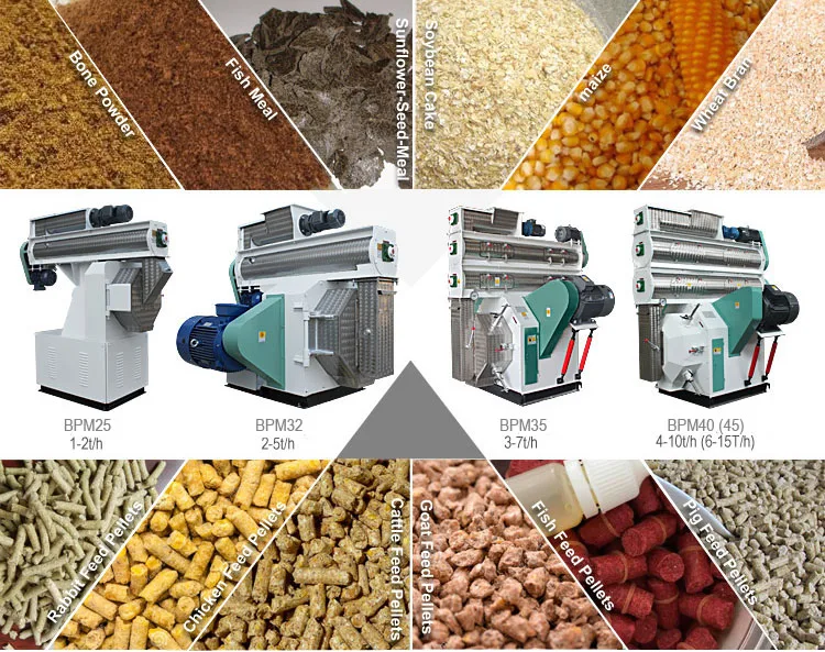 Turnkey project poultry feed plant machinery cattle sheep pig horse feed production machines best poultry feed plant for sale