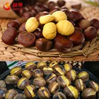 Foods Chestnuts Price Bulk Fresh Chestnut Best Tasting Frozen Foods