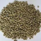 Chinese raw green coffee beans,100% arabica type, mesh 14-17,new crop