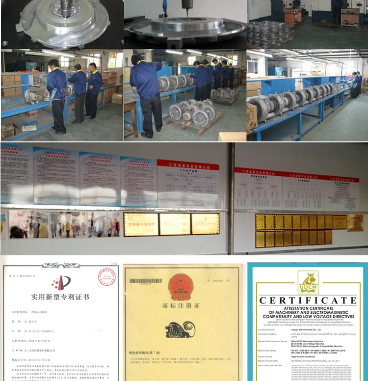 Ring Blower, 1hp, 380V - detail 16