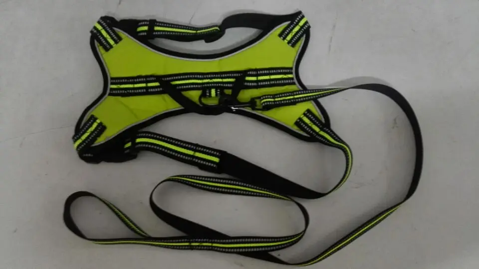 reflective dog collar (1).jpg