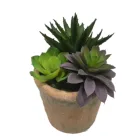 Decorative artificial mini succulents plants plastic succulents faux