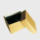 Butyl Butyl Insulating Glass Hot Melt Butyl Sealant