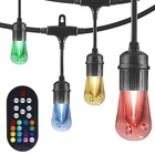 Holiday wedding Commercial Grade Outdoor Color Changing S14 Led String Light