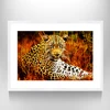 African Leopards Printing Painting Pictures Wall Art Home Decor Prints,Animal Mural Photo Art,Framed and Stretched,Ready to Hang