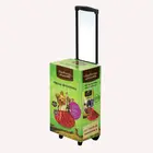 Trade show Green square carton with handle Foldable cardboard POP trolley wheel box,paper advertising bag