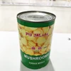 /product-detail/green-food-canned-mushroom-for-sale-60774255969.html
