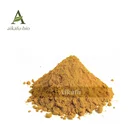 HOT SALE Formula Turmeric Curcumin Capsules OEM Private Label