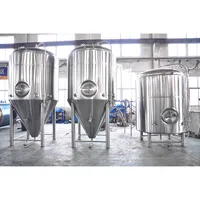 Turnkey Service 500L Micro Beer Fermenter