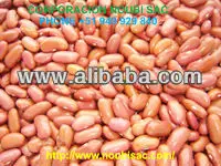 Red Kidney Beans