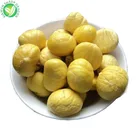 wholesale chinese iqf frozen edible chestnut