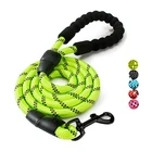 Custom Print Logo Heavy Duty Strong Nylon Reflective Climbing Rope Dog Leash