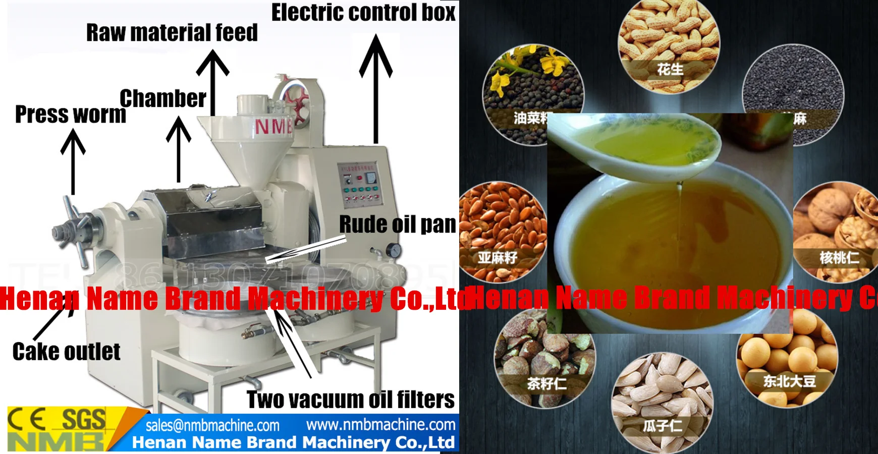 China sesame oil grinding machine, extract oil, soybean oil making machine price