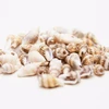 Wholesale 28-38MM Drilled Brown Tiger Natural Shell Beads Loose Spacer Beads For Jewelry Making