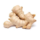 super grade ginger trading company for export