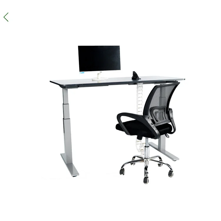 1000n Load Office Tdesk Electric Height Adjustable Table Motorized