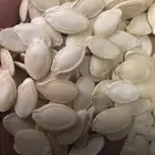 Butternut Winter Squash Seeds in Shell , 11mm