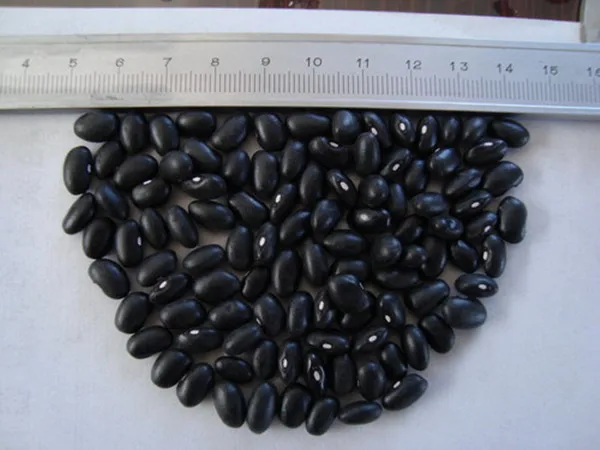 black kidney beans 20