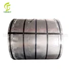 Hot dip galvanized steel coil/iron sheet with zinc coat/GI strip for building material