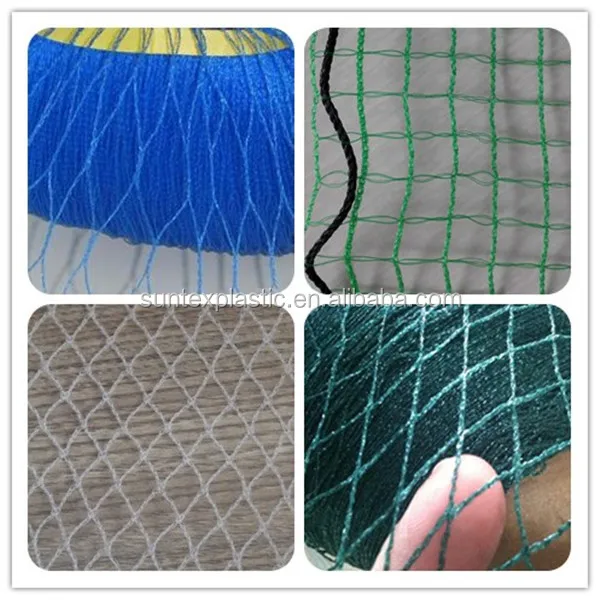 bird net.jpg