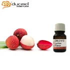 DM-21419 Litchi pulp natural flavoring agents for food/cold drinks and beverage