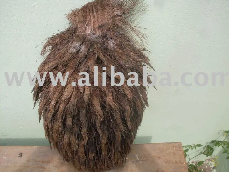 Empty Palm Fruit Bunch