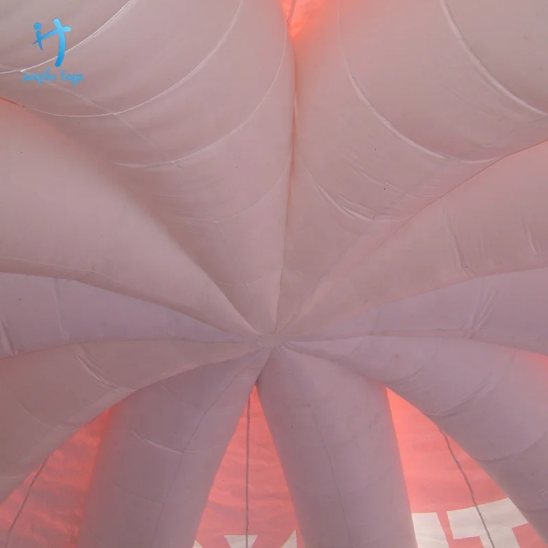 DSCF1013