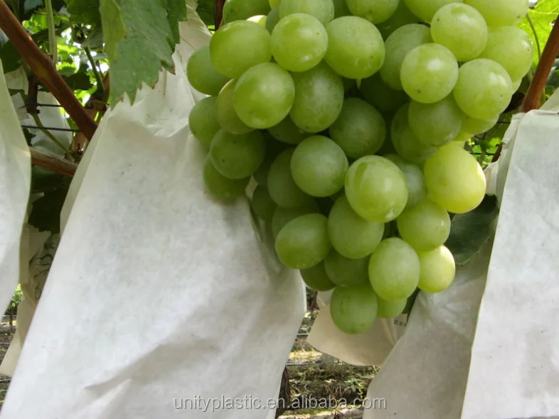 grape fruit growing bags,pp non woven fabric fruit bags