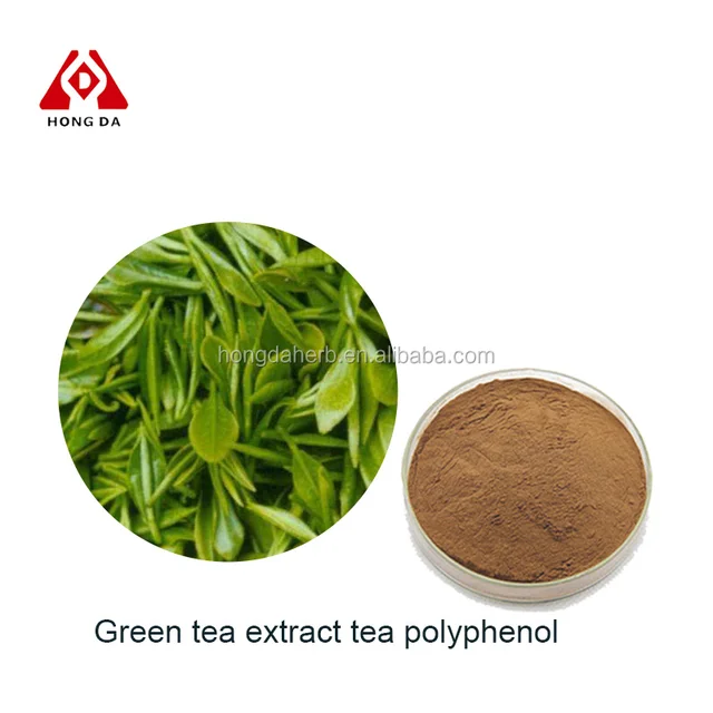 china green tea extract tea polyphenols