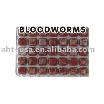 download frozen bloodworms