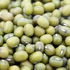 Chinese green mung beans