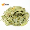 Healthy Cleansing Dried Folium Sennae Leaf Detox Tea Senna Fanxie Leaves