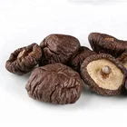 Pure Black Mushroom 100% Natural Shiitake Mushroom