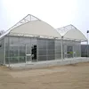 /product-detail/ready-to-ship-sawtooth-tropical-greenhouse-62212519240.html