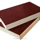 Estate Plywood Company Film Faced Plywood/construction Real Estate