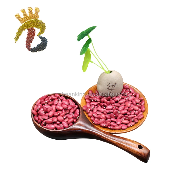 Skillful manufacture red kidney beans different types of pulses price