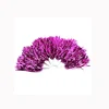 Fancy purple cheerleading pom poms for sport or party events