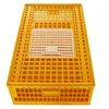 New 100% PE materials turkey crate transport duck plastic poultry chicken cage(whatsapp:0086-18953481991)