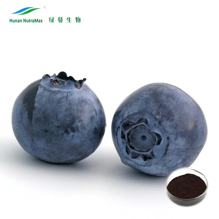 Bilberry Extract 2